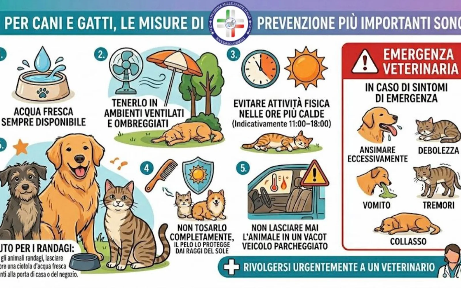 Caldo killer per cani e gatti: 5 regole d’oro per proteggere gli animali dalle alte temperature