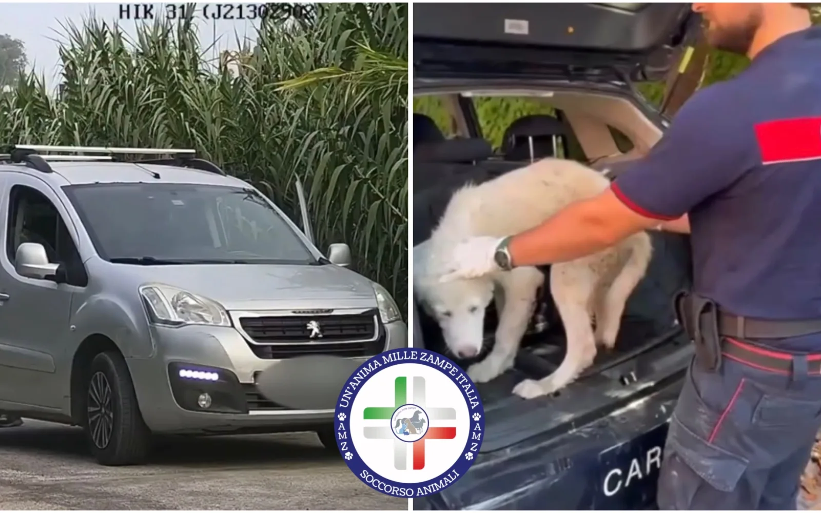 Giugliano in Campania